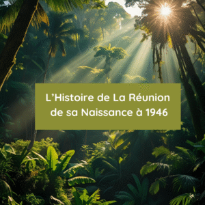 Ma Frise Historique : L'Histoire de La Réunion, de sa Naissance à 1946 - PDF - Particuliers