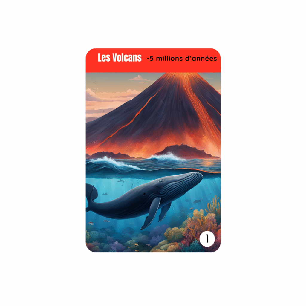 jeu de carte theme histoire de la reunion (3)