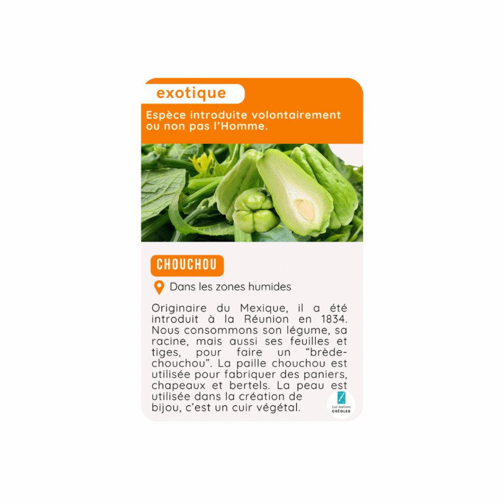 biodiversité chouchou