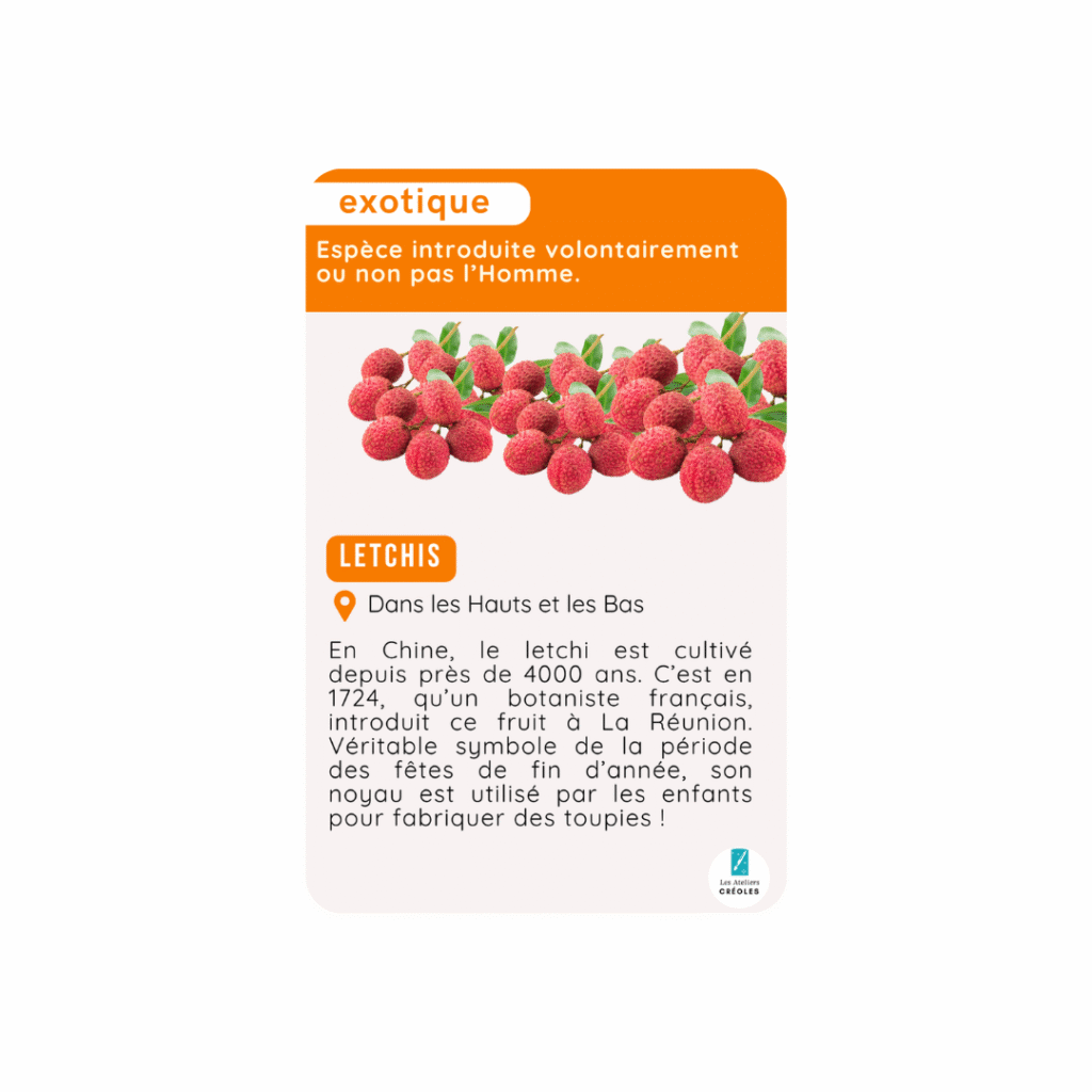biodiversité letchis