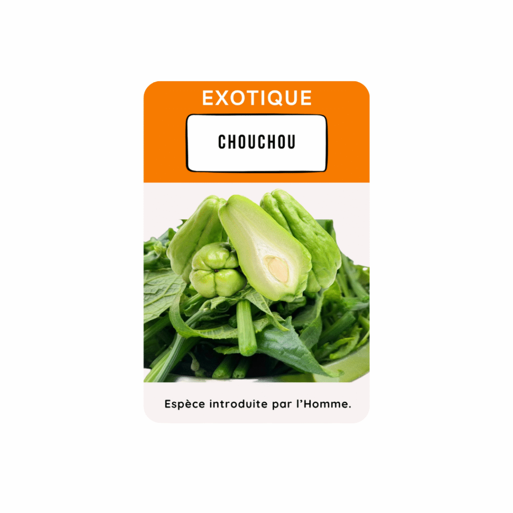 carte a jouer chouchou