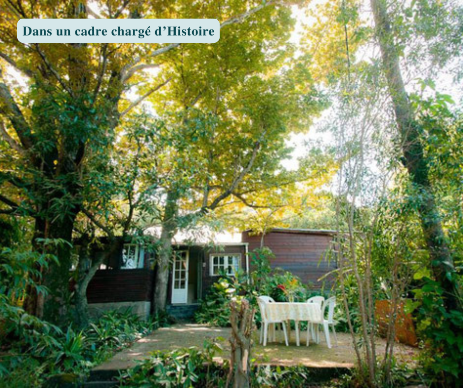 Module 1 : Découvrir l'histoire de La Réunion pour mieux accompagner les publics réunionnais. – Image 2